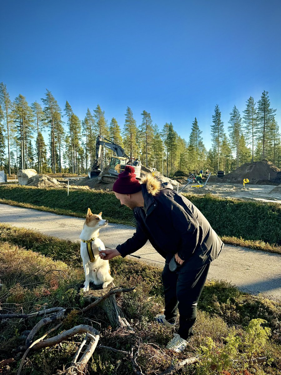oltsari's tweet photo. Alussa oli hiekkapohjainen harjukangas, kaivinkone ja Olli! #torppa https://t.co/y34LUmYyys