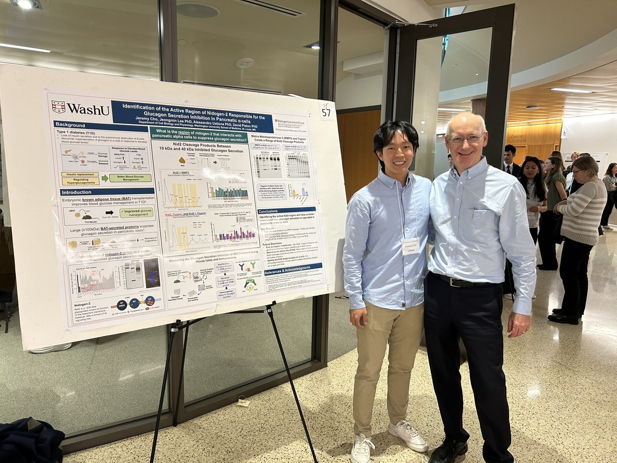 ThePistonLab's tweet image. Our undergraduate student - Jeremy Cho, presenting his poster at the @washuartsci undergraduate Research Symposium! 👨‍🔬