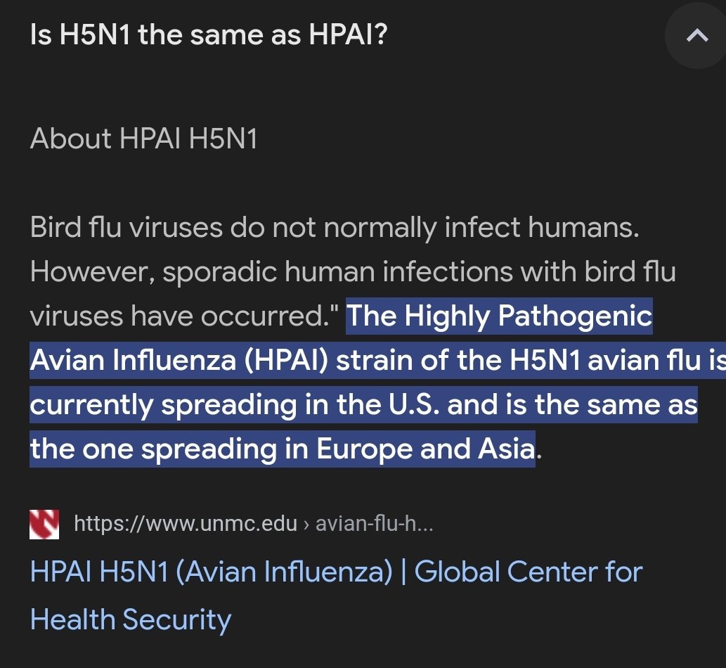 ChristineGuent8's tweet image. #HPAI is #H5N1, but is a different strain of it. 🙃