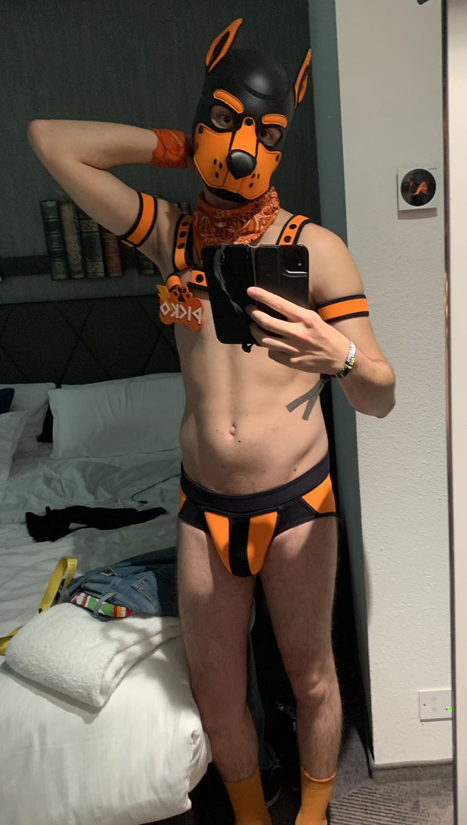 Pup Picko 🔜 Recon, Animalz, Darklands tweet media