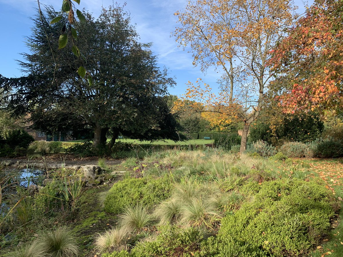 The Pleasaunce in Eltham is looking gorgeous at this time of year. Take the 161 bus from Woolwich, easy.