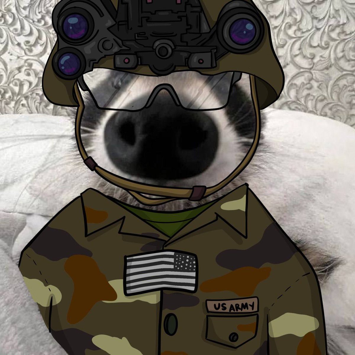 Calling all Raccoons #NoNutNovember is upon us! Lock In 🎯