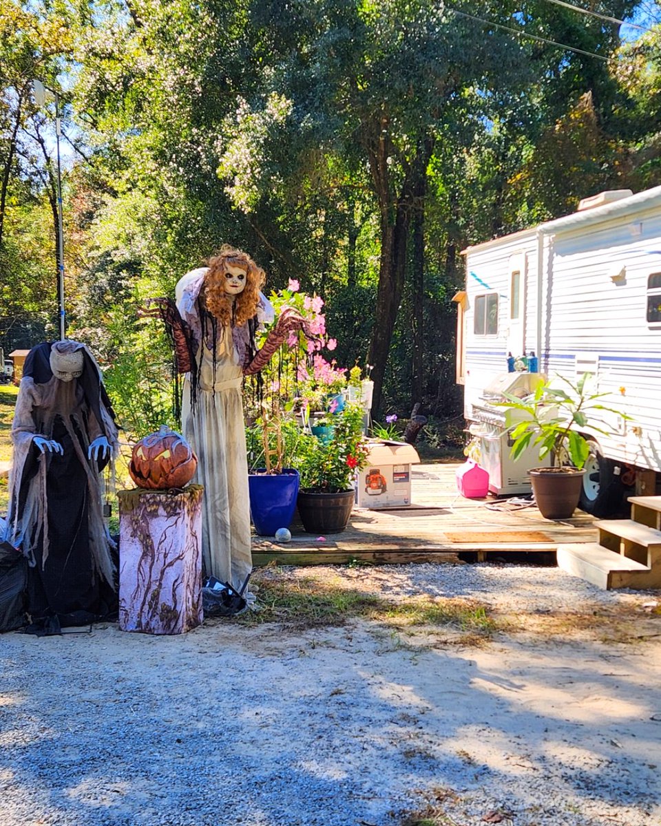 OutdoorAdvanced's tweet photo. Halloween was a success bringing hauntingly great hospitality 🕸🦇🌙

@Sunburst RV Resort 
@Native Falls Campground https://t.co/2OVFCJKUY5