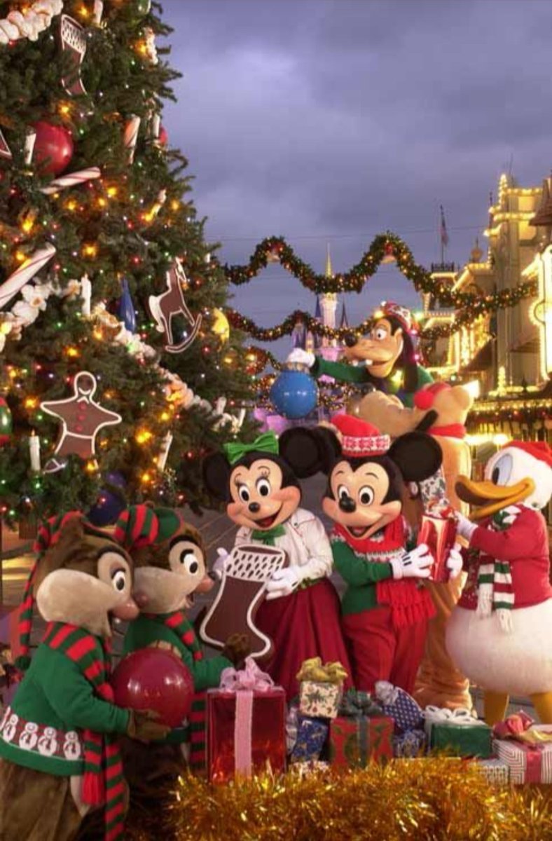 Spaceship Alex 🌐 (@alexandra__m) on Twitter photo 