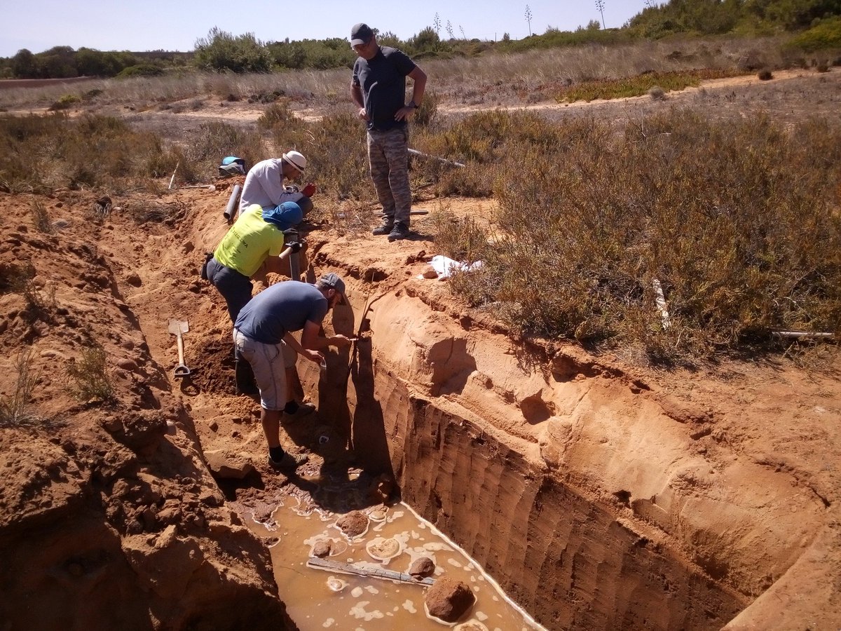 Witold Szczuciński (@witeksz) on Twitter photo 269 years ago the tragic earthquake and tsunami damaged Lisbon and large part of Atlantic Ocean coastline. It is still somehow mysterious for scientist. Some parts of the story we try to read from tsunami deposits in frame of #TSUNASTORM <a href="/NCN_PL/">Narodowe Centrum Nauki</a> funded project at <a href="/UAM_Poznan/">UAM Poznań</a> 269 years ago the tragic earthquake and tsunami damaged Lisbon and large part of Atlantic Ocean coastline. It is still somehow mysterious for scientist. Some parts of the story we try to read from tsunami deposits in frame of #TSUNASTORM <a href="/NCN_PL/">Narodowe Centrum Nauki</a> funded project at <a href="/UAM_Poznan/">UAM Poznań</a>
