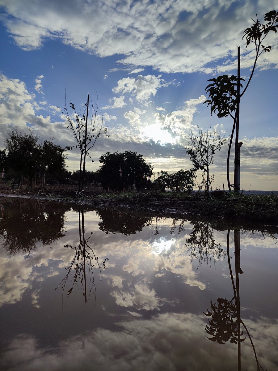 #NatureBeauty #Reflejos