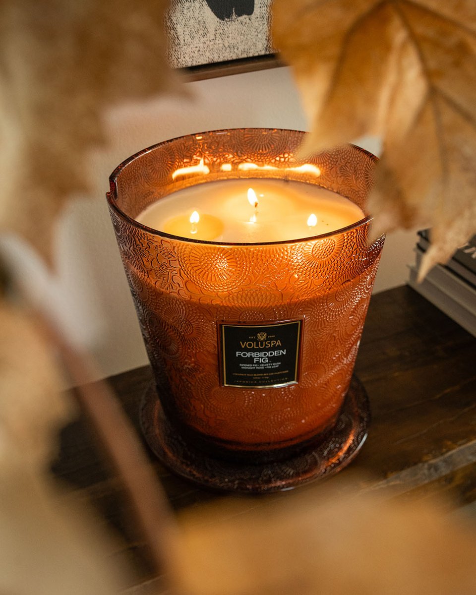 As the leaves change, so does your ambience with the inviting attraction of Forbidden Fig— a fragrance so alluring, it earns its name. 

Shop now: bit.ly/3UvGw8E