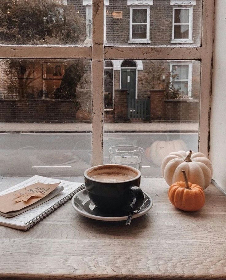 visualtherapy0's tweet image. 1st of november🍂❄️