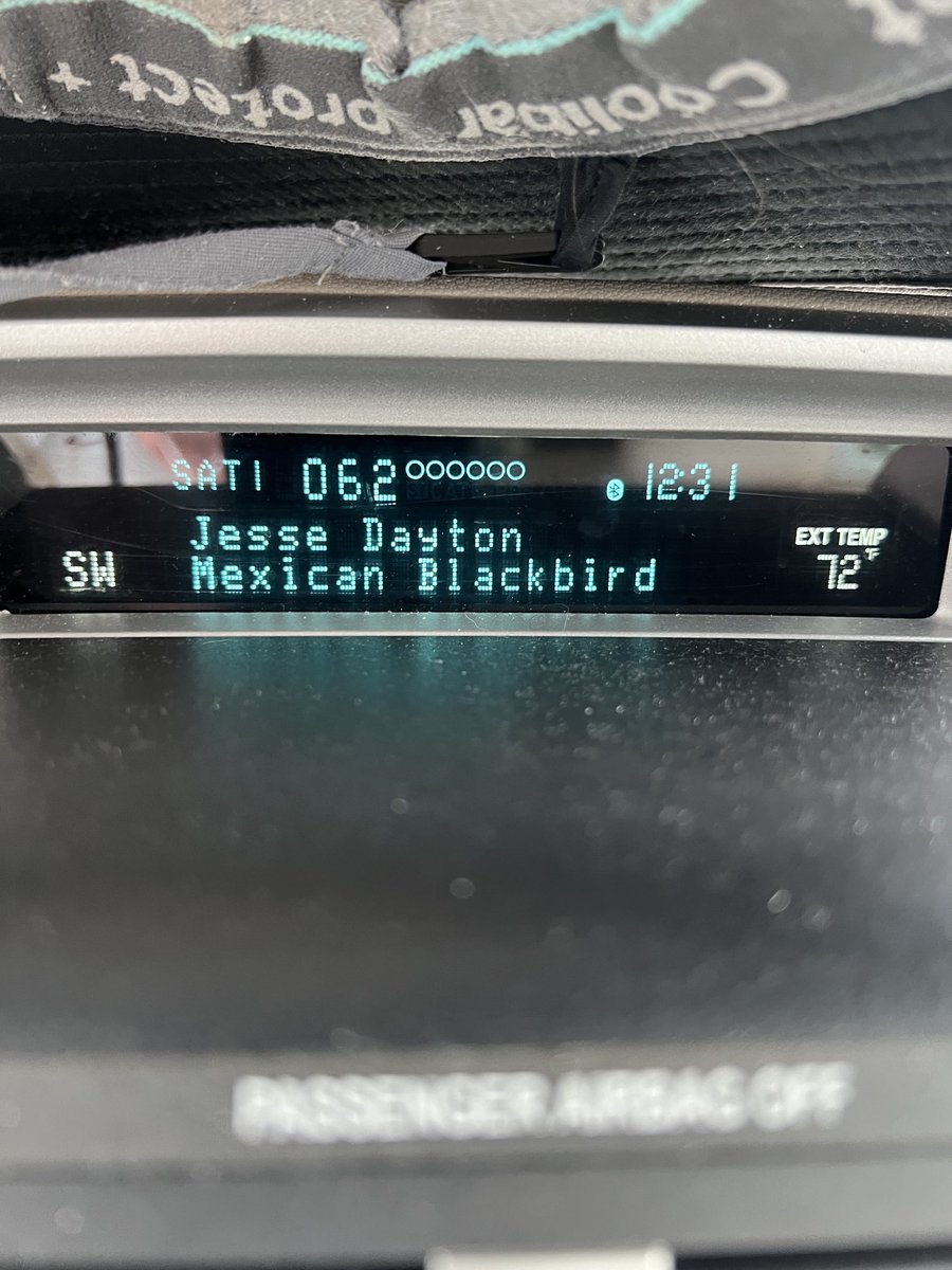jackfromacworth's tweet image. “Mexican Blackbird”, ⁦@jessedayton⁩ Great new music with horns! On ⁦@Elizabeth_Cook⁩ #ApronStrings #62 ⁦@siriusxmoutlaw⁩ Good stuff! 🤠