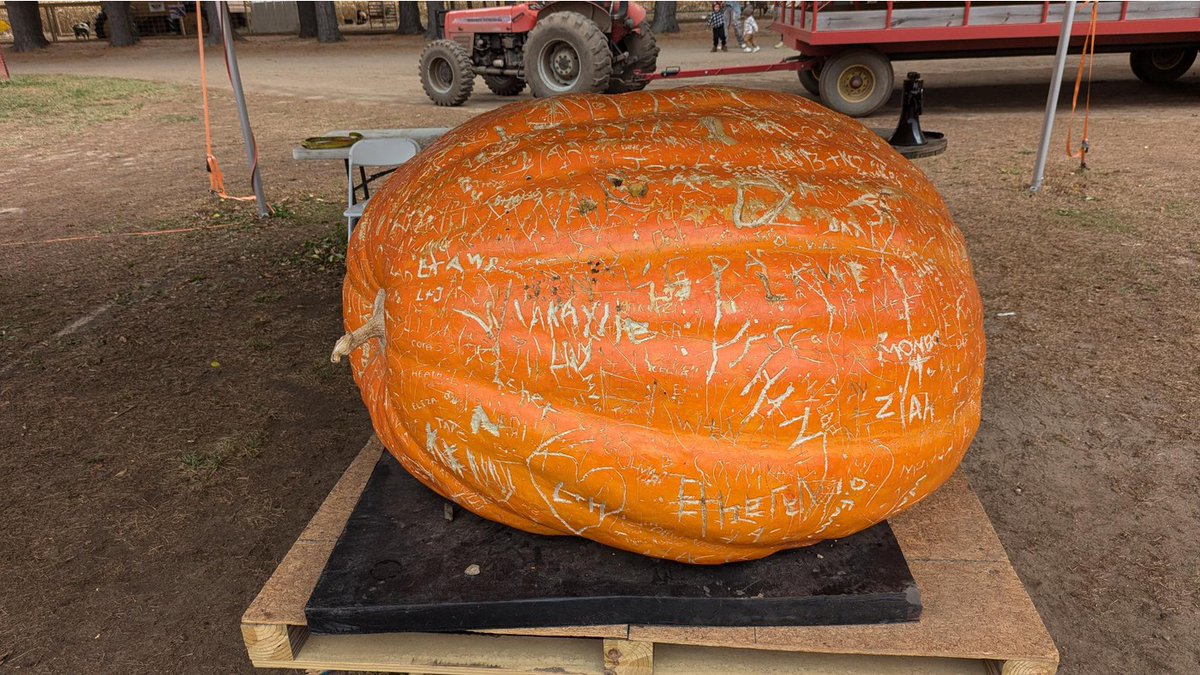 FlexMichigan's tweet photo. We hope everyone had a happy and safe Halloween! 🎃 #FlexHighSchool #MAPSA @MICharters @FreedmCoalition https://t.co/o6ThqyS5h9