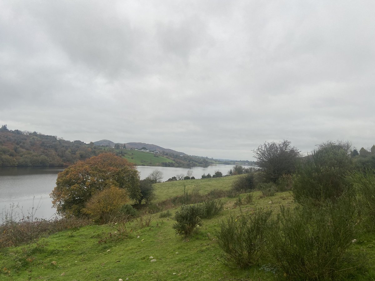 Dmcc115's tweet photo. I love to be able to see this up closer, but the bracken makes it largely inaccessible. Boat/kayak is the only viable option. https://t.co/AgQ4Ztc1Rn