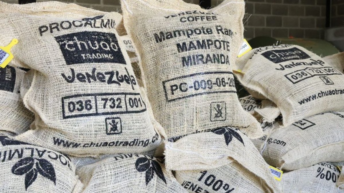 🔴la nación bolivariana sumó una nueva exportación al concretar el envío de 10 mil 404 kilos de café hacia Japón, los cuales son provenientes de Miranda, Trujillo, Táchira y Carabobo.

venezuela-news.com/venezuela-expo…