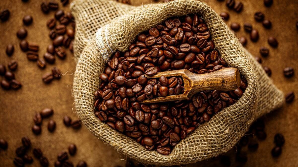 🔴Estados Unidos aumentó el índice de compra de café venezolano a 944 mil dólares durante este 2024, en comparación con el 2023, cuando la cifra fue de 80 mil dólares, según datos del Departamento de Agricultura norteamericano.

venezuela-news.com/compra-de-cafe…