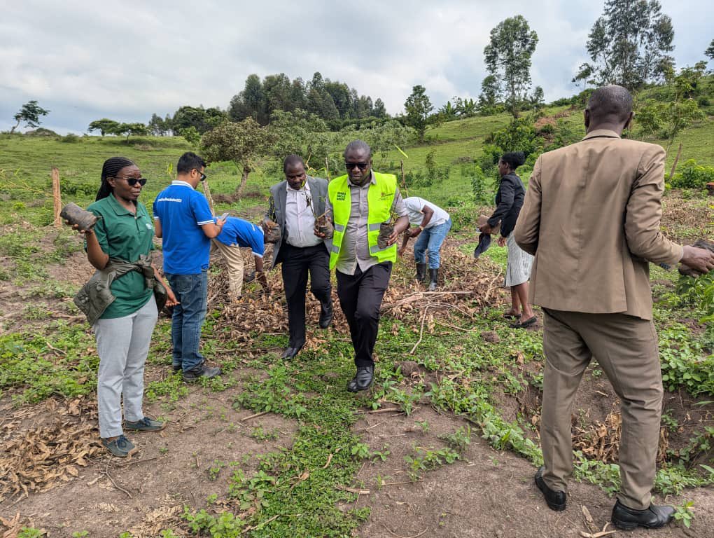 min_waterUg's tweet photo. #MWEworks: @min_waterUg through Victoria Water Management Zone in partnership with @WWFUganda, @LatoMilk &amp; other Development Partners delivered &amp; handed over fruit seedlings to the Church of Uganda Mbarara Diocese, Ruharo as part of the Save River Rwizi post Marathon activities. https://t.co/9xiHumWkmB