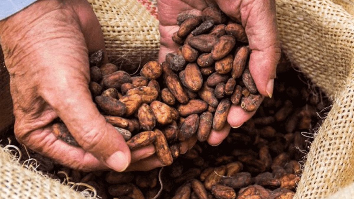 📍El director del rubro Café de Fedeagro, Vicente Pérez, informó que desde hace seis años, la producción de café se ha recuperado y en este momento supera el millón de quintales.

venezuela-news.com/fedeagro-produ…