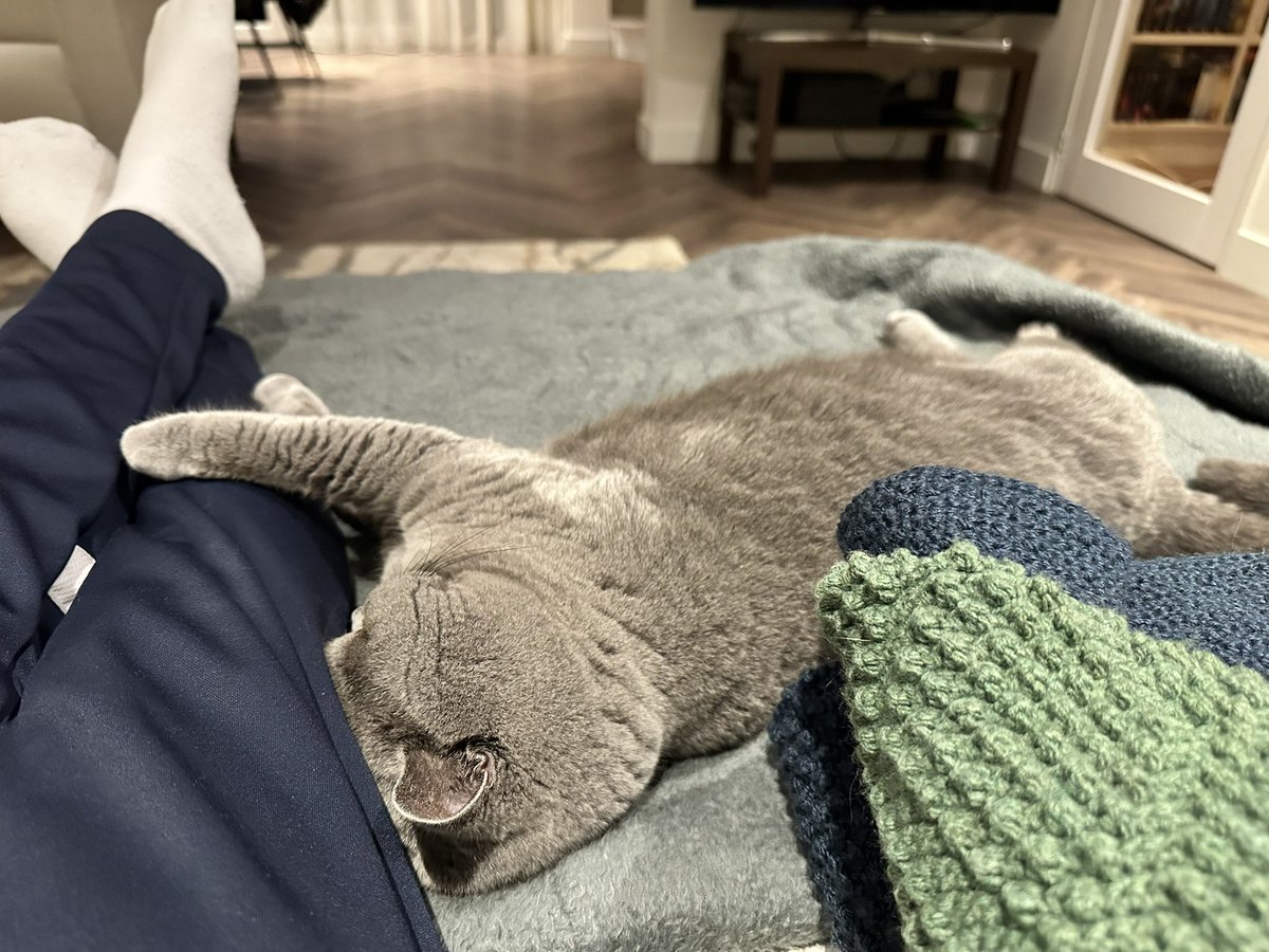 Albert-Jan Schot tweet media