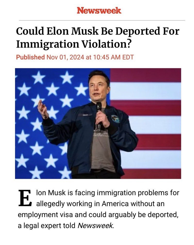 DogeDesigner tweet media