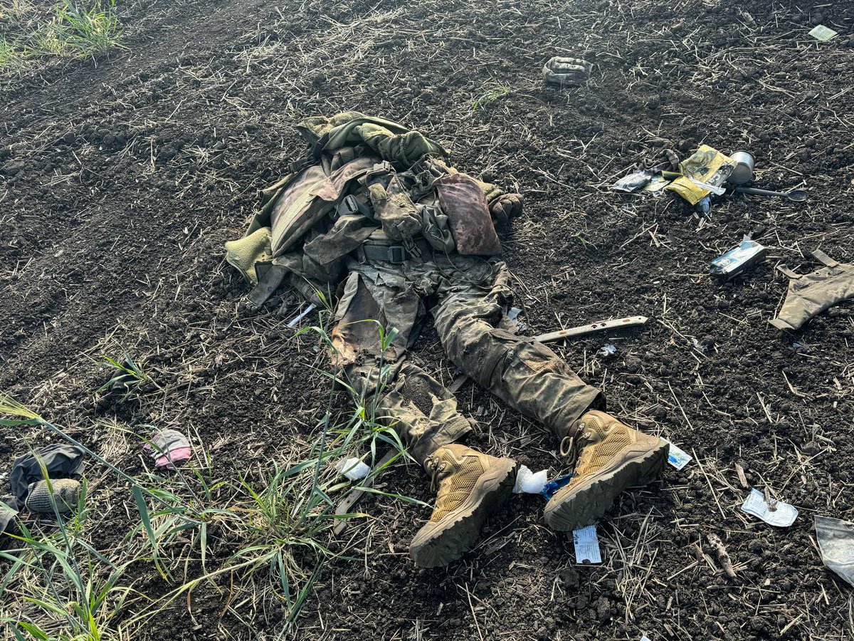 ug_chelsea's tweet photo. 🇺🇦☠️🔞 Ukrainian Armed Forces soldiers are dying in hundreds in unsuccessful counterattacks in the Kursk region.

The fields are strewn with the corpses of Ukrainian occupiers sent to certain death https://t.co/UZMctFTW4N