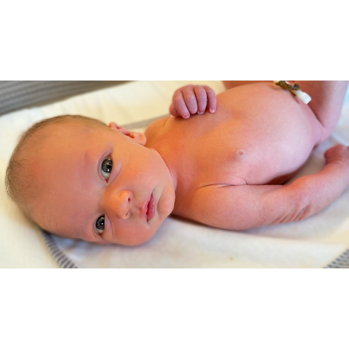 Giovanni Spano tweet media