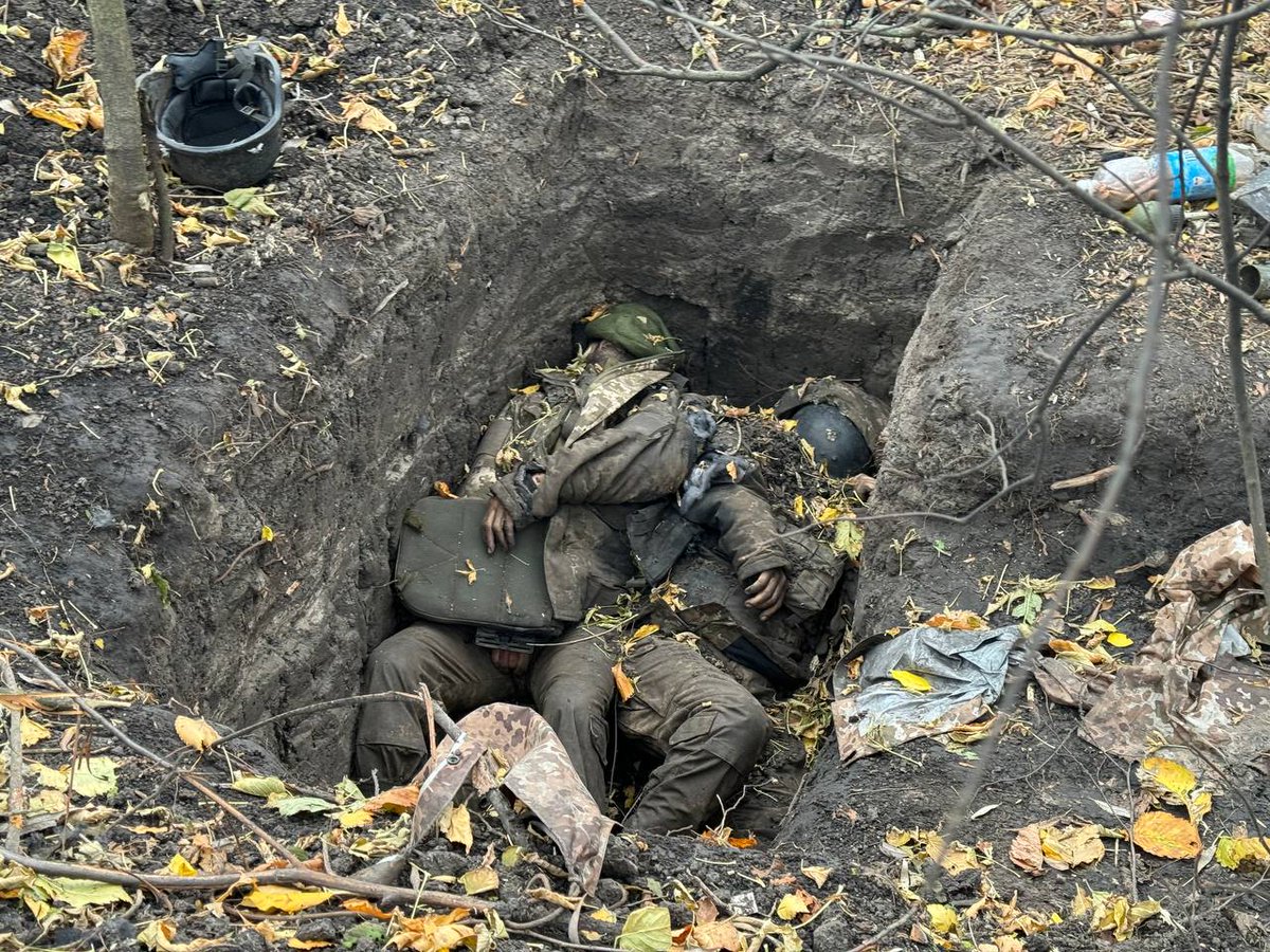 ug_chelsea's tweet photo. 🇺🇦☠️🔞 Ukrainian Armed Forces soldiers are dying in hundreds in unsuccessful counterattacks in the Kursk region.

The fields are strewn with the corpses of Ukrainian occupiers sent to certain death https://t.co/UZMctFTW4N