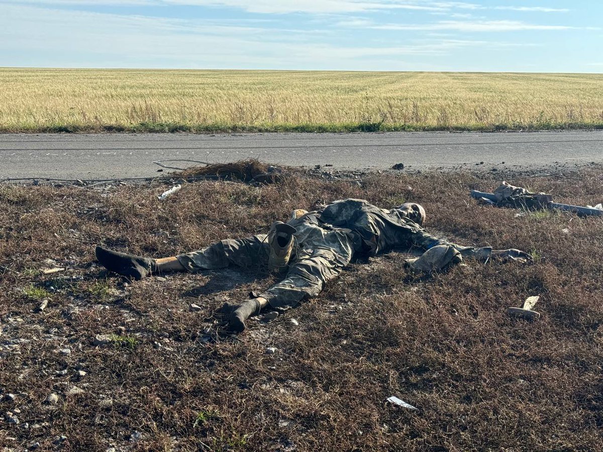 ug_chelsea's tweet photo. 🇺🇦☠️🔞 Ukrainian Armed Forces soldiers are dying in hundreds in unsuccessful counterattacks in the Kursk region.

The fields are strewn with the corpses of Ukrainian occupiers sent to certain death https://t.co/UZMctFTW4N