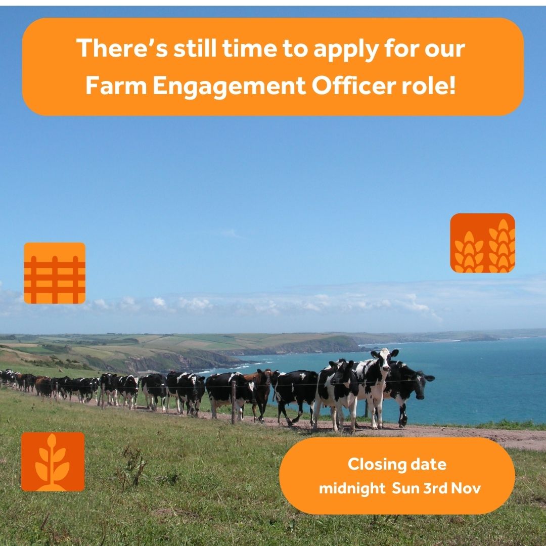 South Devon National Landscape (@southdevonnl) on Twitter photo Join the herd - there's still time to apply for our Farm Engagement Officer post.
Salary £37,336 to £41,418 (pay award pending)
<a href="/DefraNature/">DefraNature</a> <a href="/NE_DCIoS/">Natural England- Devon, Cornwall & Isles of Scilly</a> <a href="/NFUtweets/">National Farmers' Union</a> <a href="/DevonYFC/">Devon YFC</a>
Further details: southdevon-nl.org.uk/jobs-and-oppor… Join the herd - there's still time to apply for our Farm Engagement Officer post.
Salary £37,336 to £41,418 (pay award pending)
<a href="/DefraNature/">DefraNature</a> <a href="/NE_DCIoS/">Natural England- Devon, Cornwall & Isles of Scilly</a> <a href="/NFUtweets/">National Farmers' Union</a> <a href="/DevonYFC/">Devon YFC</a>
Further details: southdevon-nl.org.uk/jobs-and-oppor…