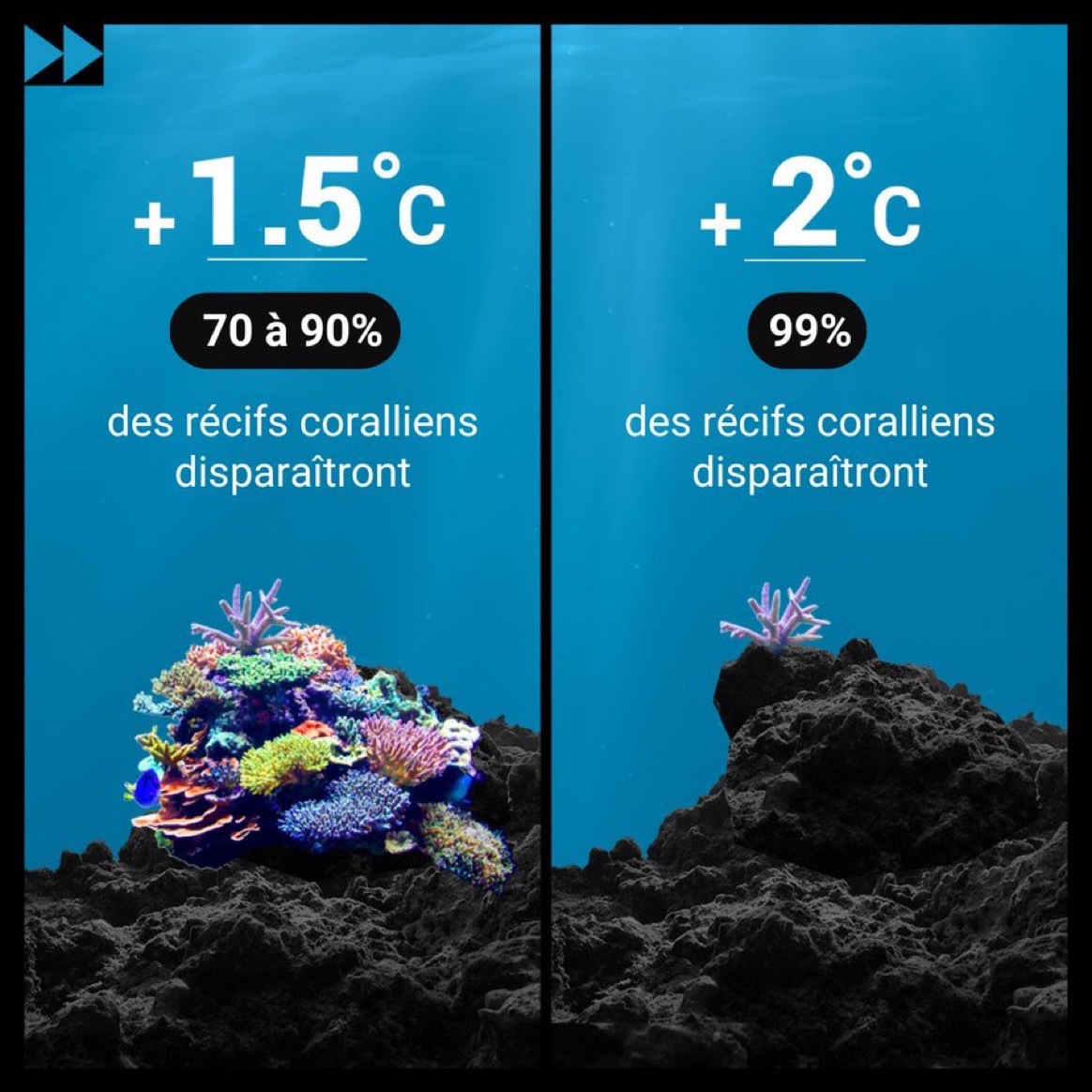 ONU_fr's tweet photo. Si les températures moyennes mondiales augmentaient de 2°C, les récifs coralliens disparaîtraient presque complètement, ce qui serait catastrophique pour les populations et la planète.

#Agissons pour l’#actionclimatique pour protéger notre avenir. https://t.co/O4bMWdhM8V https://t.co/zzl58Hy2O3