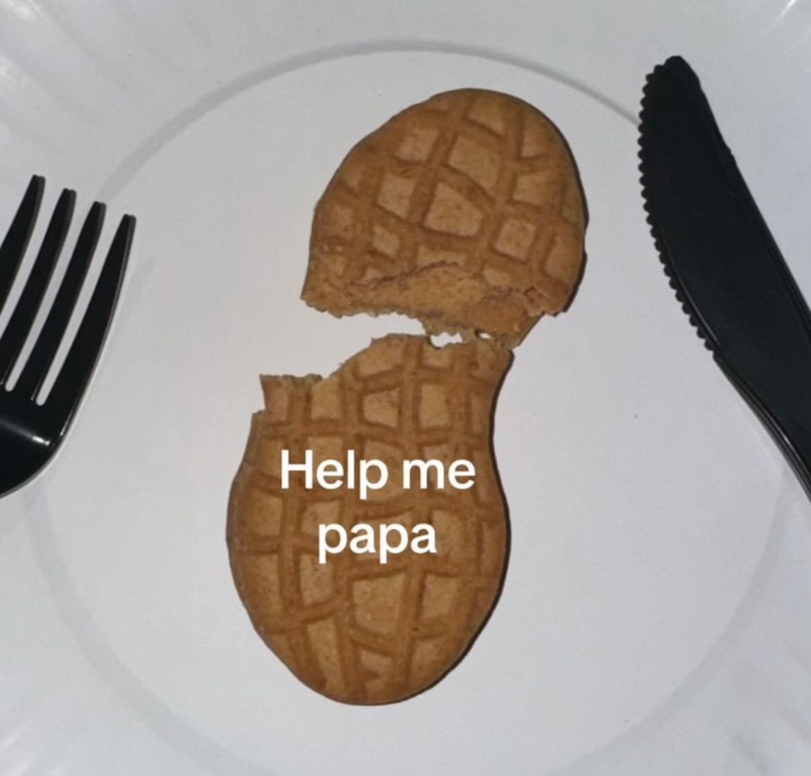 NutterButterMan tweet media