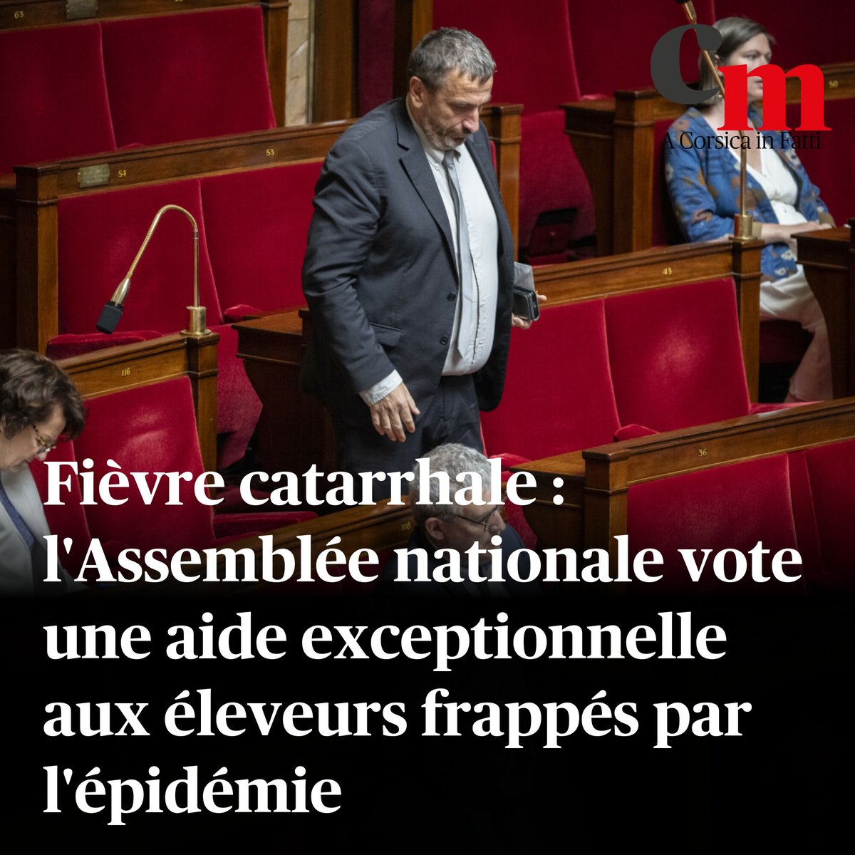 Fièvre catarrhale : l'Assemblée nationale vote une aide exceptionnelle aux éleveurs frappés par l'épidémie
➡️ sur.corsematin.com/Vdw