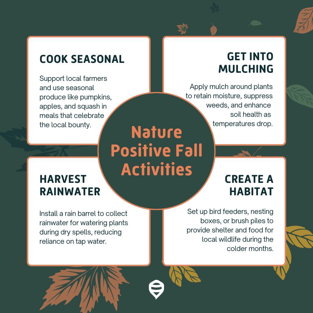🍁 How do you celebrate Fall?