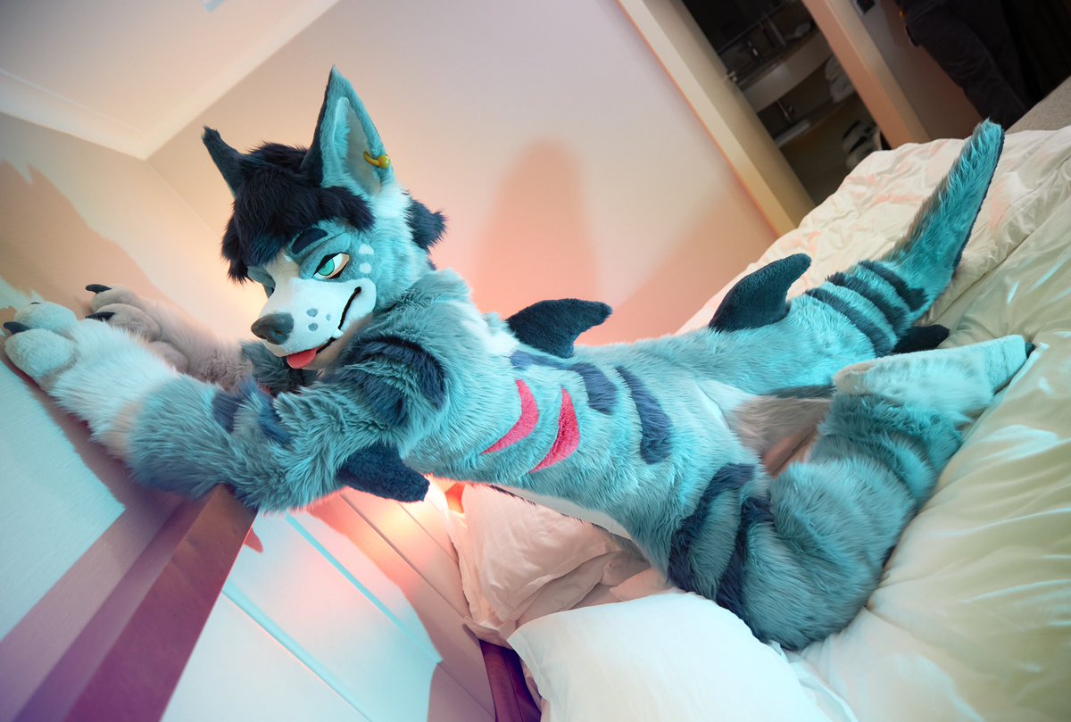 karufizzy's tweet image. Fish curves 🦈

#FursuitFriday 
📷 @RafaGreenfur