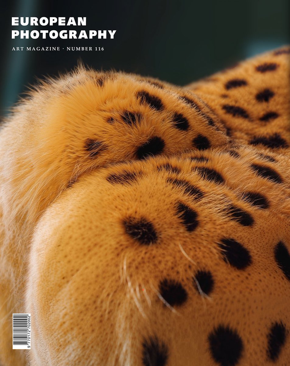 FIRST COVER ALERT! 🚨
⠀⠀⠀⠀⠀⠀⠀⠀⠀
Started from the (cat)bottom now we here! My first ever magazine cover has landed - European Photography just dropped their AI issue with my ‘Fine Line Feline’ front and centre. Sometimes the universe does have a sense of humour…
⠀⠀⠀⠀