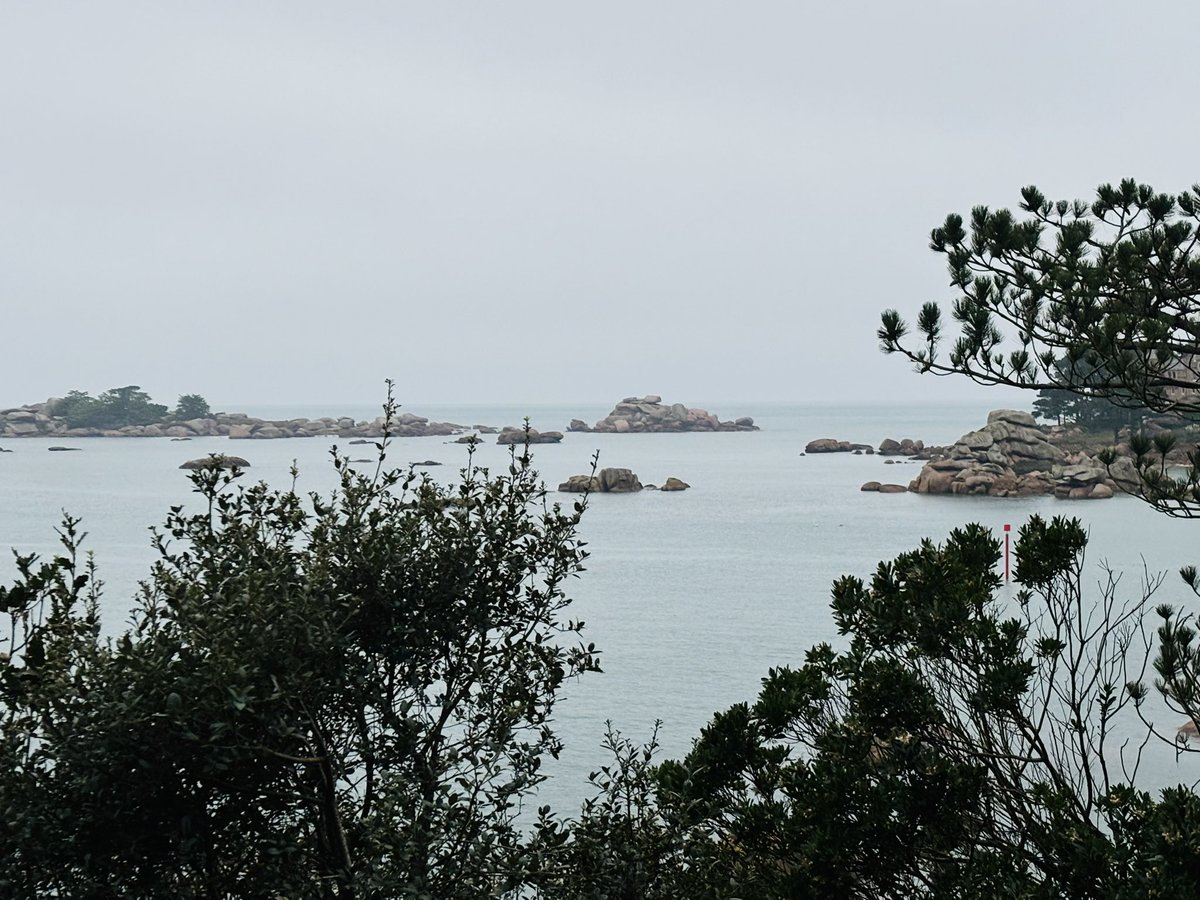 #Ploumanac’h 🤩
Qu’elle est belle notre #Bretagne