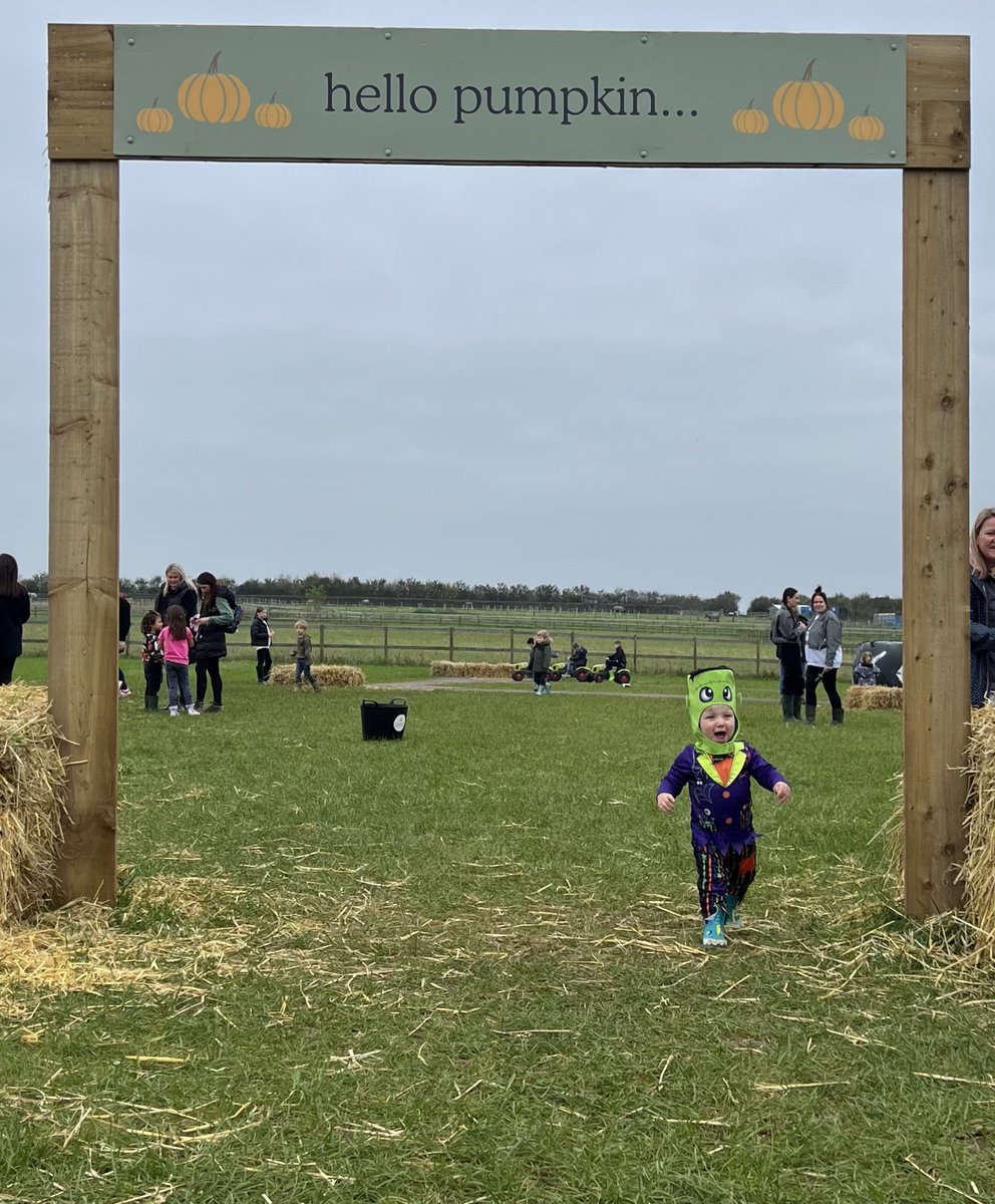 Mrs Lewis tweet media