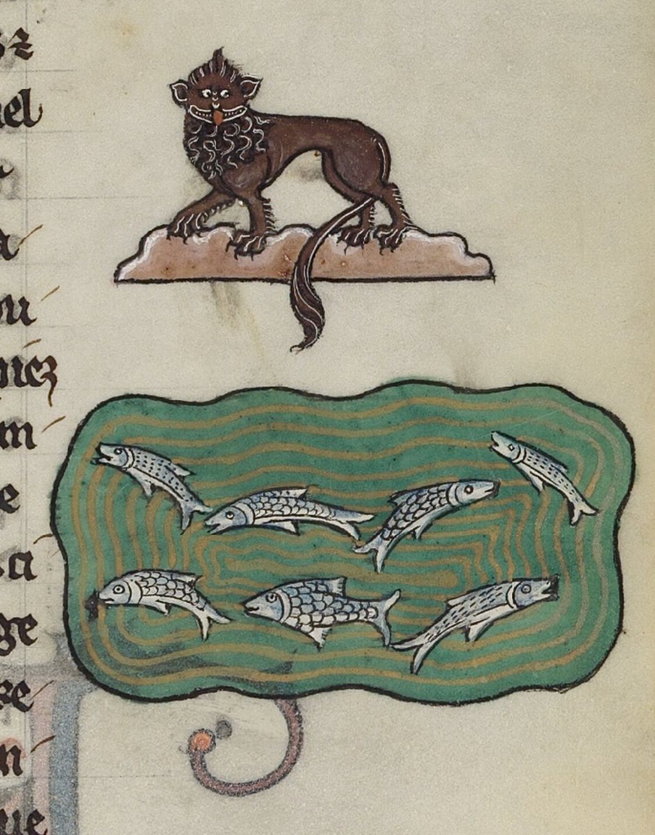 red_loeb's tweet image. Why not try some fish on Friday? 🐟🐟
#FridayFeeIing #caturdayeve 
BnF Français 12400; Frederick II, Treatise on Falconry translated into French; 13th century; f.54r @GallicaBnF