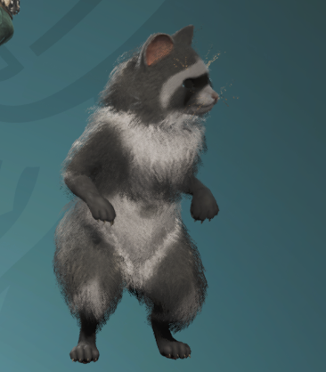 #モンハンワイルズ 
🦝