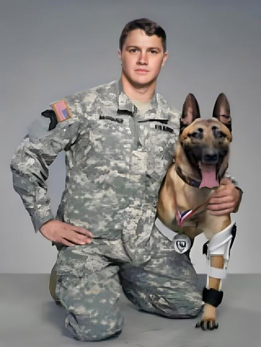 𝕏 Dogs tweet media