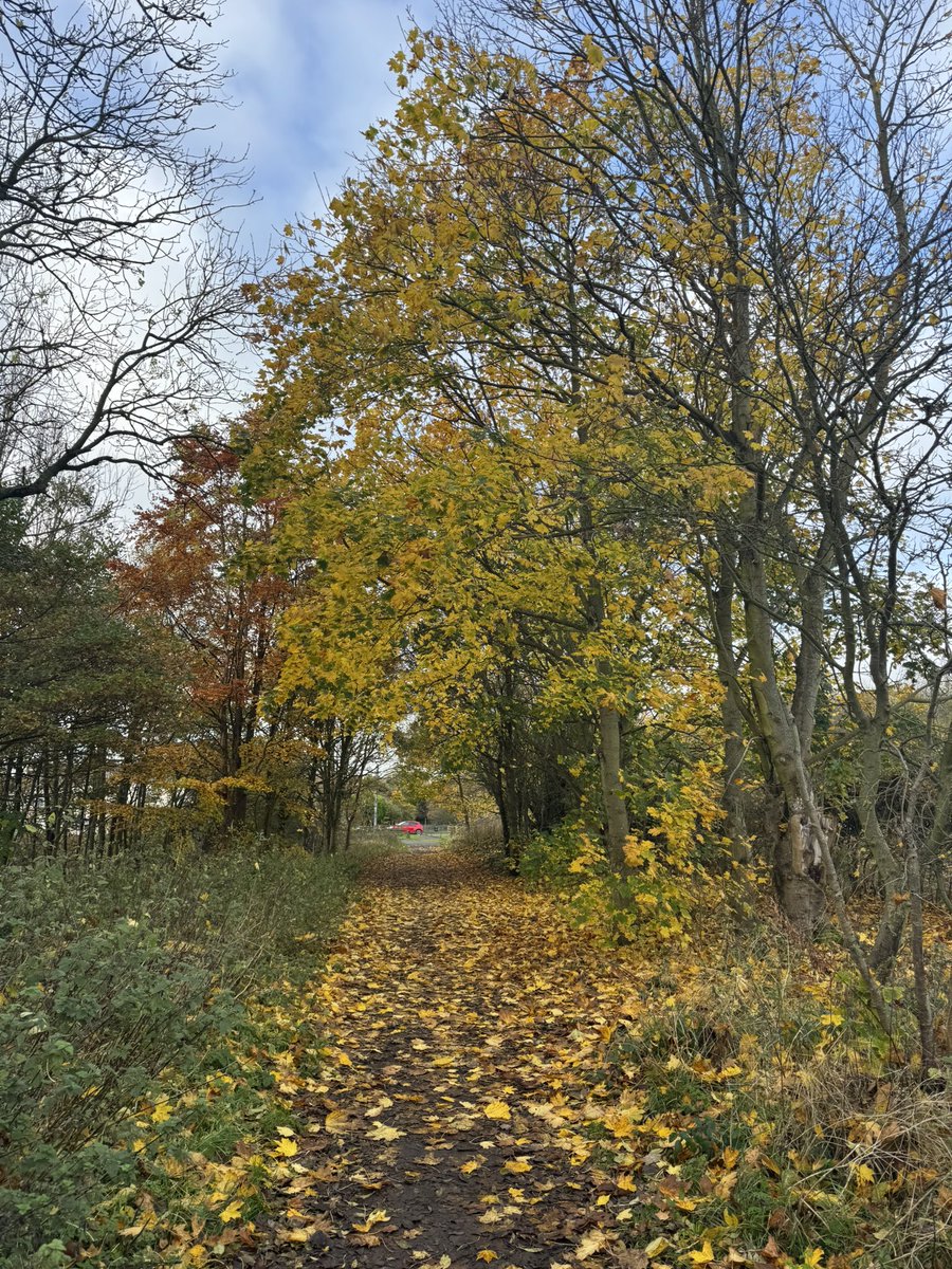 Dr Marie Gressmann tweet media