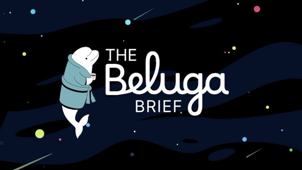 MookieNFT's tweet photo. Are you a crypto lover looking for safe ways to explore and a deep dive into your fav project? 

If so, then @heybeluga got you! 🐳 

In this thread, we will explore how Beluga can help you do more with crypto!

🧵⤵️ Let's dive in,

✦ What is Beluga? 🐳

This is a platform dedicated to educating and empowering individuals interested in crypto through various services.

It's CEO Sony Singh was the chief Commercial Officer at Bitpay, where he saw the need for a trustworthy site to showcase all great crypto projects and Tokens that are launching.

Beluga is proudly backed by some of the leading crypto and fintech VC which includes APTOS, BOARDELESS , RUBIK , KAYBER CAPITAL and many others.

✦ How Does Beluga Simplify Your Crypto Journey?

▪Crypto Insights: They provide in depth reviews and research on upcoming token launches and significant projects within the crypto ecosystem, helping users with more investment decisions.

▪Hottest Token Launches: They are reviewing upcoming token launches and the hottest tokens in depth for you! I read their research on the @monad_xyz  ecosystem, which is one of the ecosystems that interest me the most these days, and it really helped me a lot!

▪The Beluga Brief: This is a service offering daily insights, news, and alerts about the crypto market, particularly focusing on token launches and significant crypto events. Click below to subscribe now 👇
https://t.co/TsXVQ8NmXw

▪Public Trading Wallet: The trading wallet is an initiative way  for  users to have a deeper understanding of how the market works. Learn from their trading strategy so you can trade like a pro.

✦ What is Beluga Mission? 

Their mission revolves around simplifying cryptocurrency for everyone, aiming to do more with crypto through education, empowerment, and entertainment, particularly targeting the next generation of crypto enthusiasts.

✦ Summary:

@heybeluga serves as a guide for individuals finding it hard to navigate through the complex crypto world by offering exclusive resources, community support, and insights to enhance understanding and engagement with digital currencies.

Click the link below to get started with Beluga
https://t.co/TsXVQ8NmXw

✦✦✦✦✦

Thank you for your time and reading! 💛

If you found this thread useful, I'd love for you to Like & Bookmark & Repost it 😊
