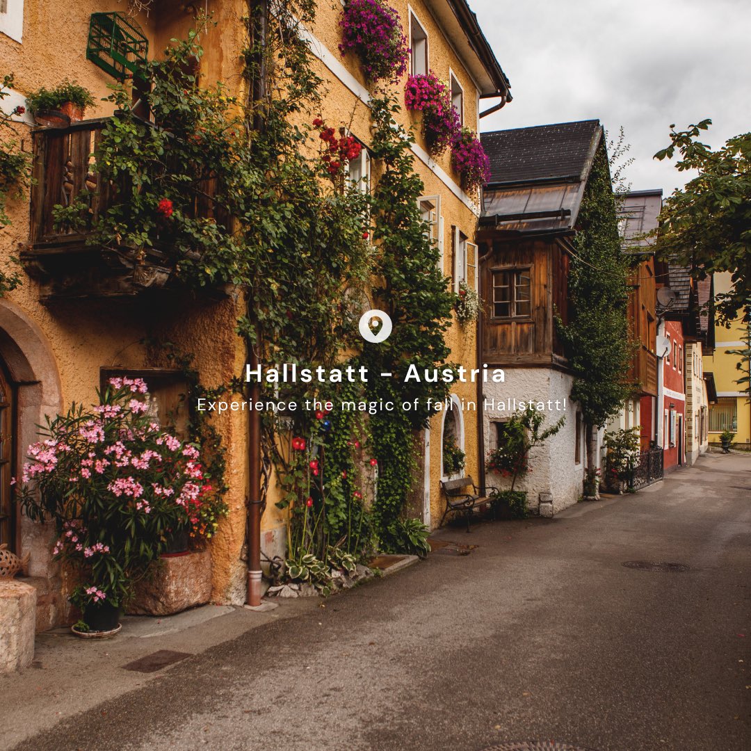 Escape to Hallstatt, Austria this Fall! 🍂🏞️

Stay in a cozy lakeside cabin where autumn colors reflect off serene waters. Explore picturesque villages, hike scenic trails, or enjoy a peaceful boat ride. Perfect for families or couples seeking European charm and tranquility.