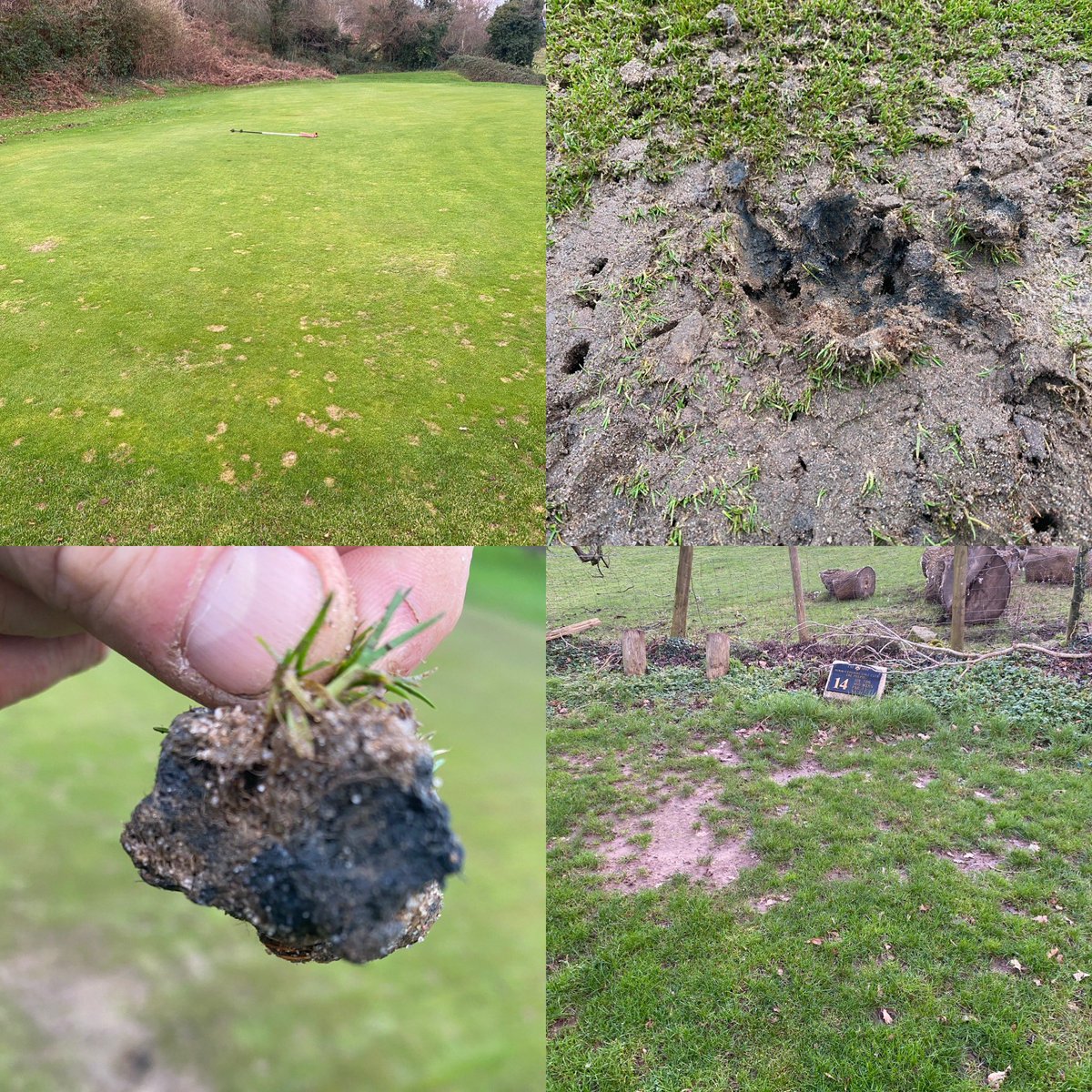 Mark Simmons tweet media