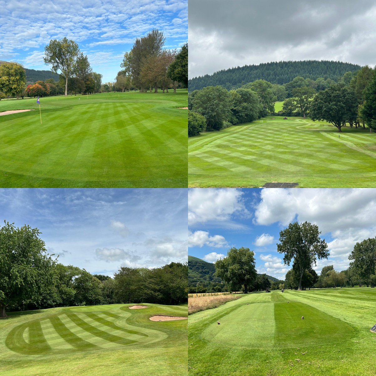 Mark Simmons tweet media