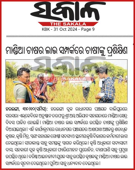 lkbkboudh's tweet photo. #LKBK Thank you, print and electronic media, for covering Millets Field Day at Balipur📰📺Your support helps promote sustainable agriculture practices and reach a wider audience! 🌾🌱 https://t.co/MF0UVU7hew 
@MilletsOdisha
@WASSANIndia @dmboudh @cdaoboudh @KVSinghDeo1 https://t.co/omr9oJDV0m