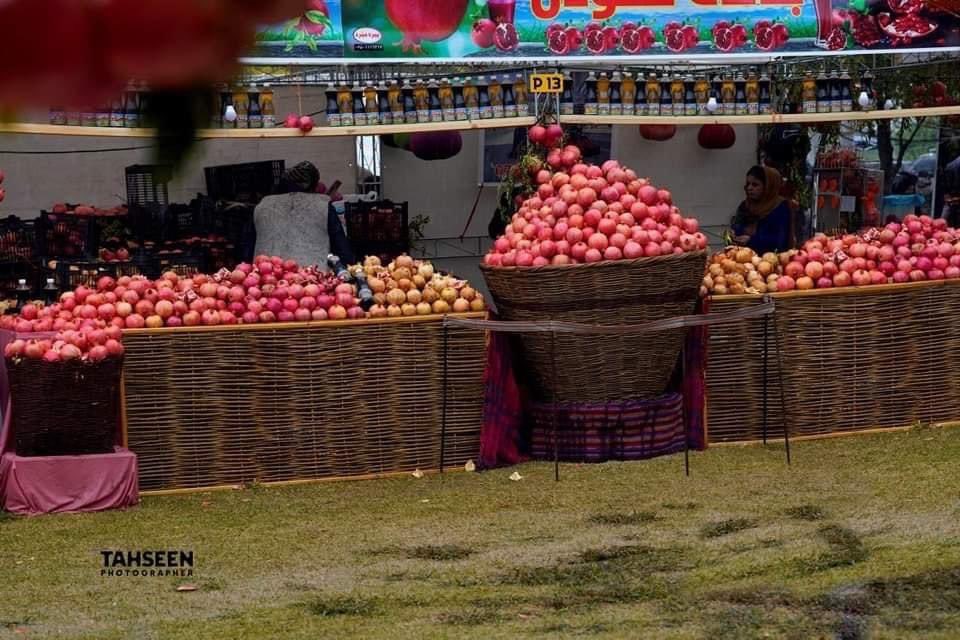 rastgoadham9's tweet photo. #Halabja_pomegranate
@YerevanSaeed https://t.co/jJrc5MacEk