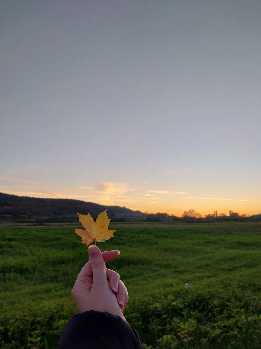A long walk in nature🤗🍁
for
#Global6K #ATEEZ #HONGJOONG
#RUN_WITH_HONGJOONG #G6K_EVENT
