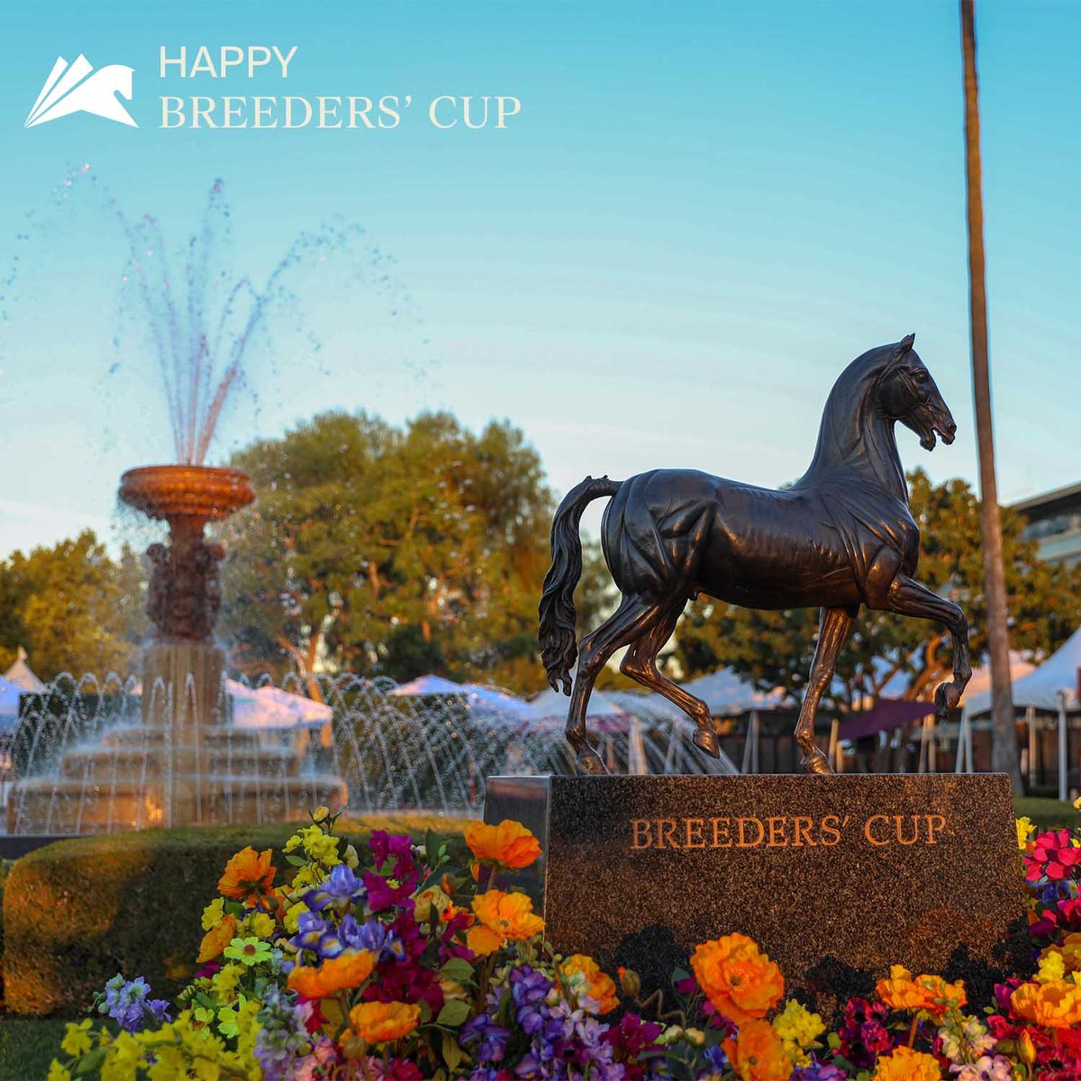 santaanitapark's tweet photo. Happy @BreedersCup!
Good luck to #TeamSAP 🏇 https://t.co/wWMIR6yI6c
