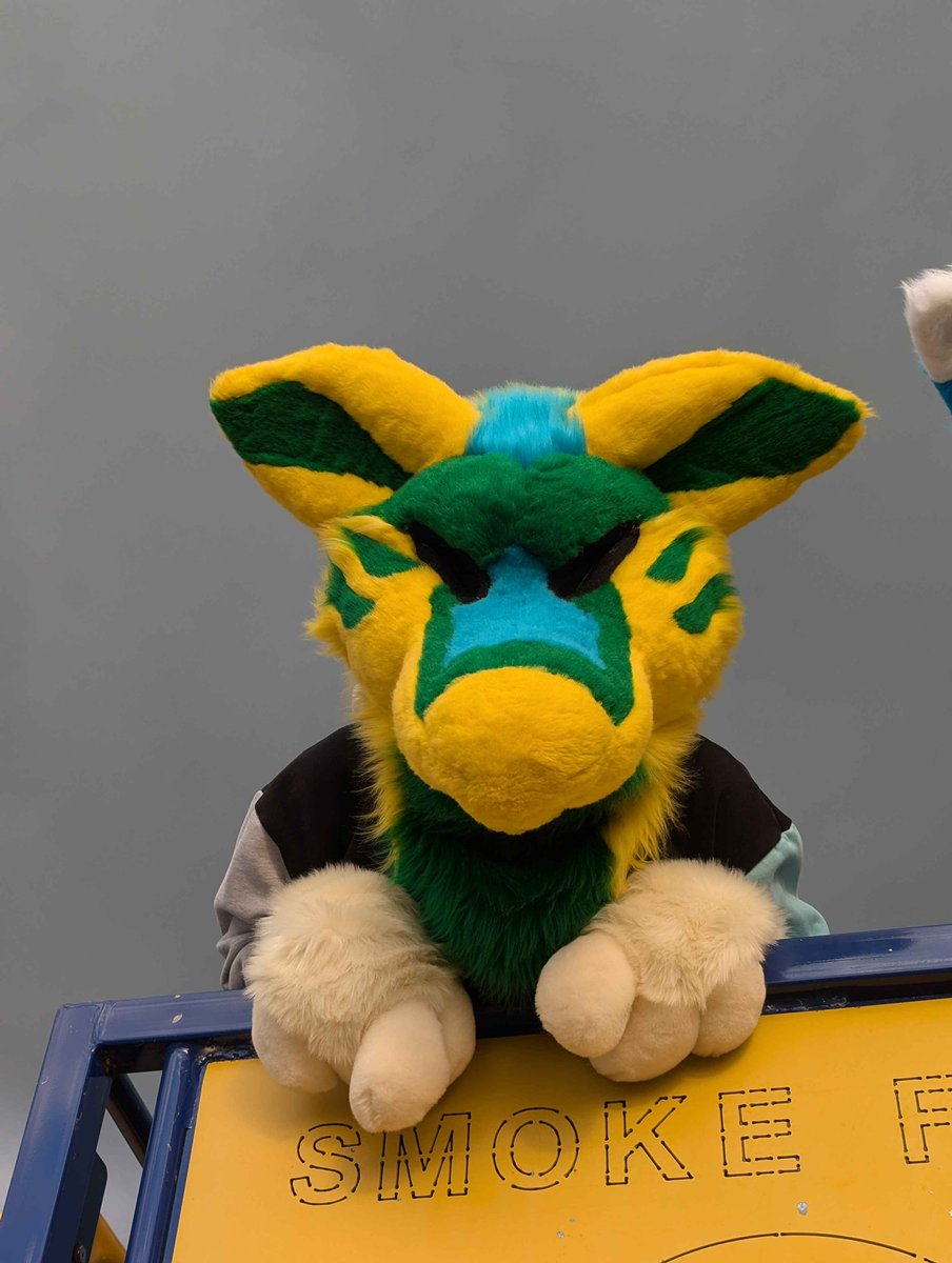 Citrussy tweet media