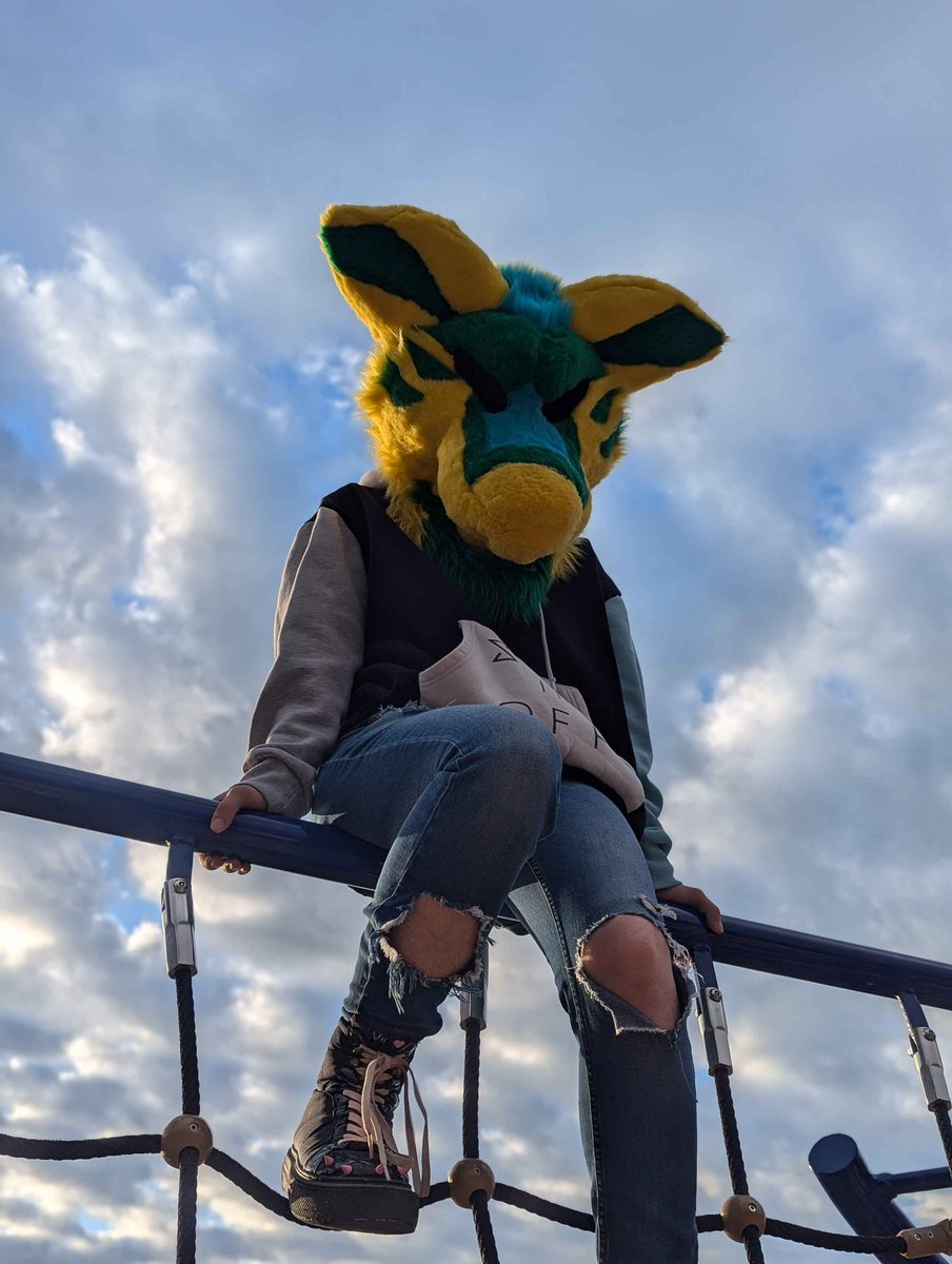 Citrussy tweet media