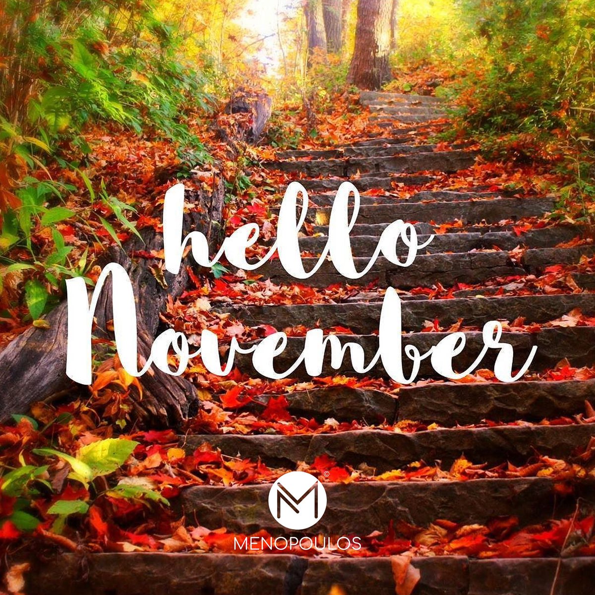 menopoulos's tweet photo. Καλό μήνα! 🍁

#1st_november #autumn
#menopoulos https://t.co/c17L77LIvt