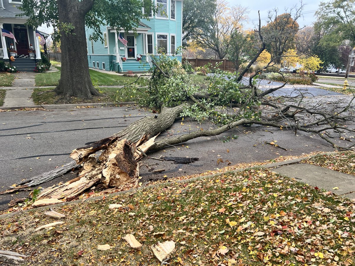 cornellianScott's tweet photo. Lost a good one yesterday - the tree in front of our 140yo house lost a major limb and then had to be cut down by the village - tree had provided shade and protection to our home for at least 80 years - a tree will be planted next spring and I hope it stands tall for 80 more https://t.co/IrGNFPW7bN